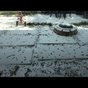 Meet your Posher, Ivonne